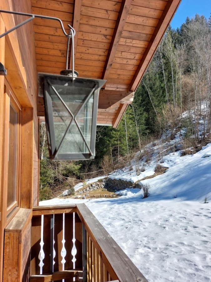 Chalet Peter Zell am See Dış mekan fotoğraf