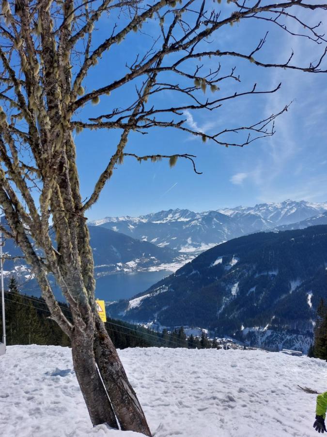 Chalet Peter Zell am See Dış mekan fotoğraf